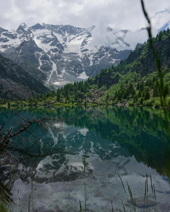 B&B Le Ciaf Temù Dış mekan fotoğraf