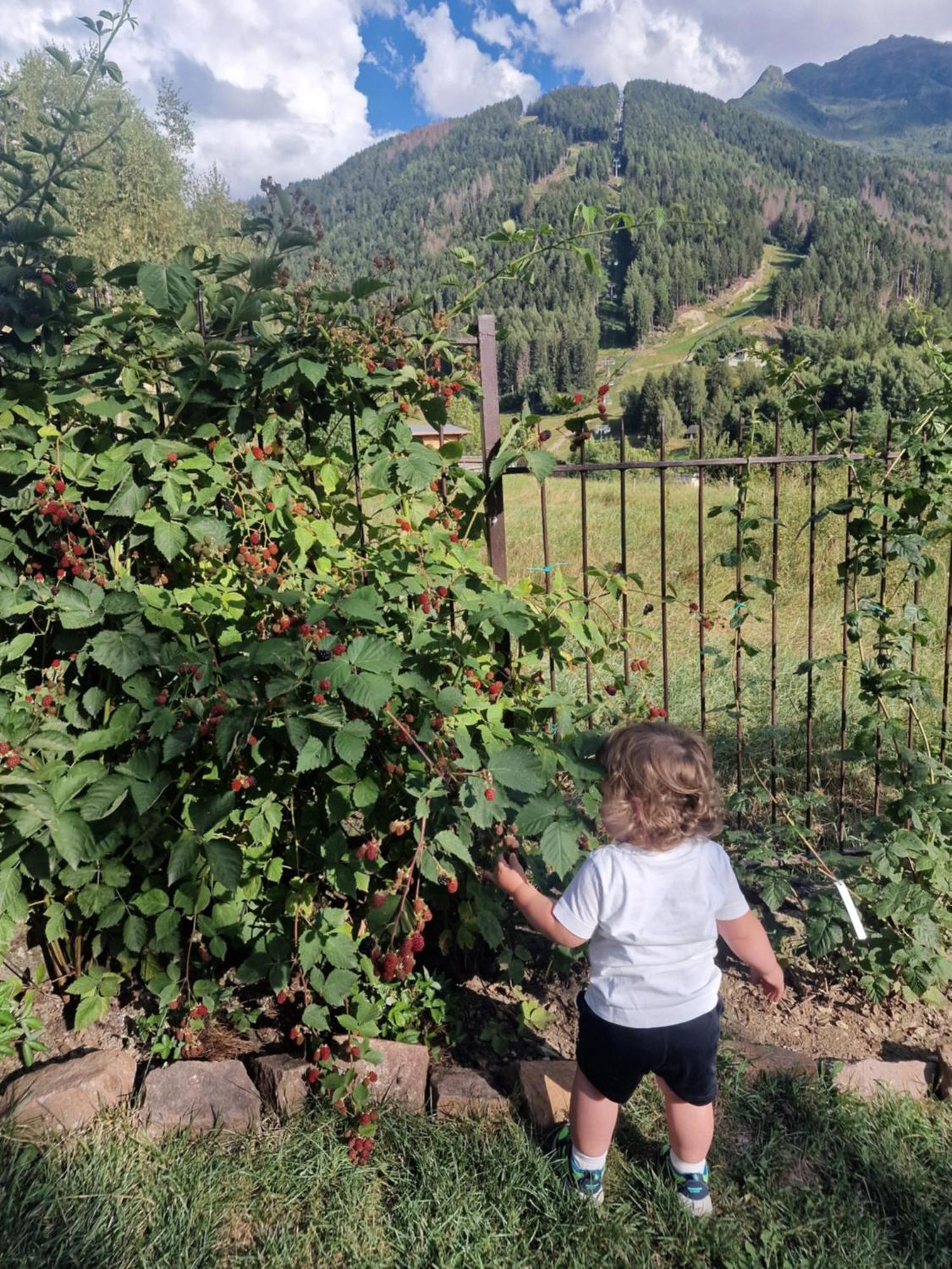 B&B Le Ciaf Temù Dış mekan fotoğraf